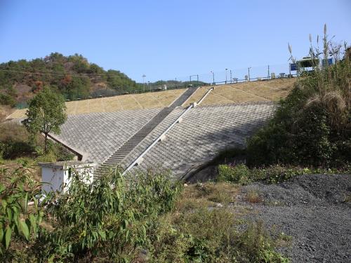 江东街道青岩刘马公塘