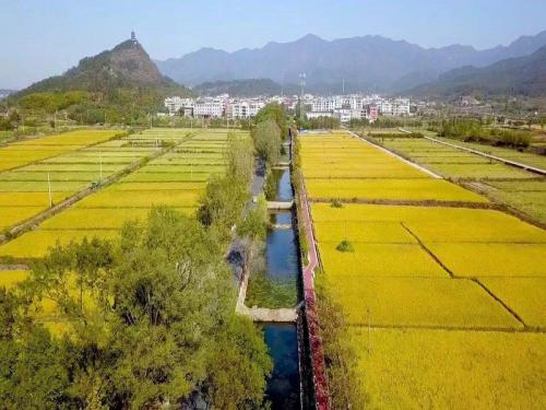 华溪标准农田改造